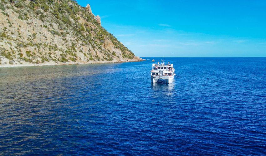 Mediterranean