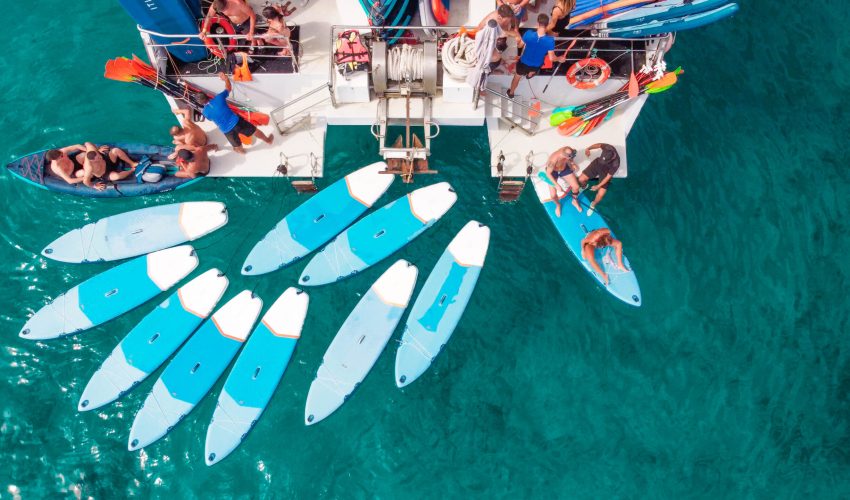 Paddles